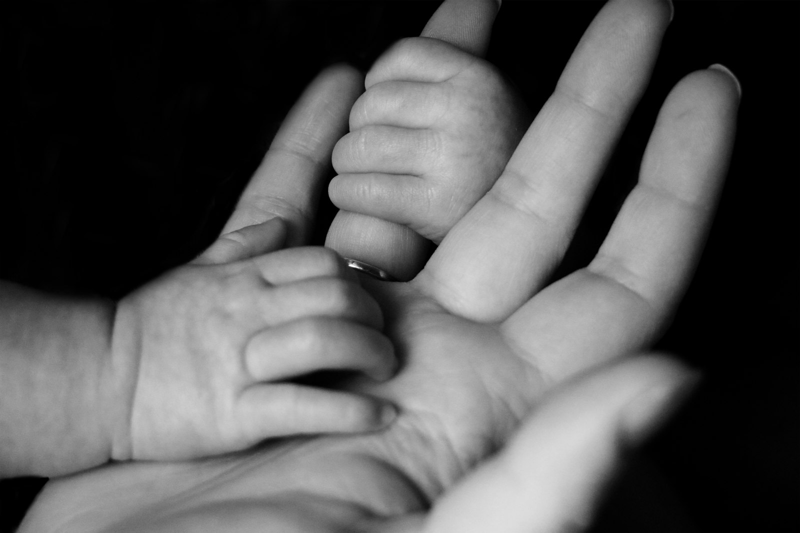 Baby Bottles Buyer's Guide 2026: What Actually Matters