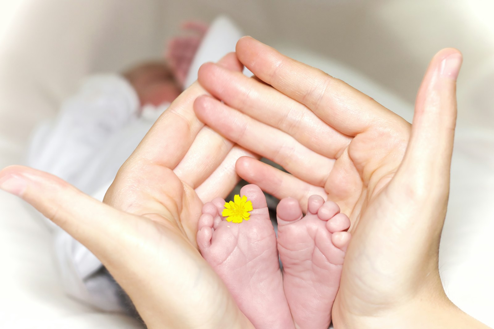 Baby Carriers: A Buyer's Guide for 2026 Parents