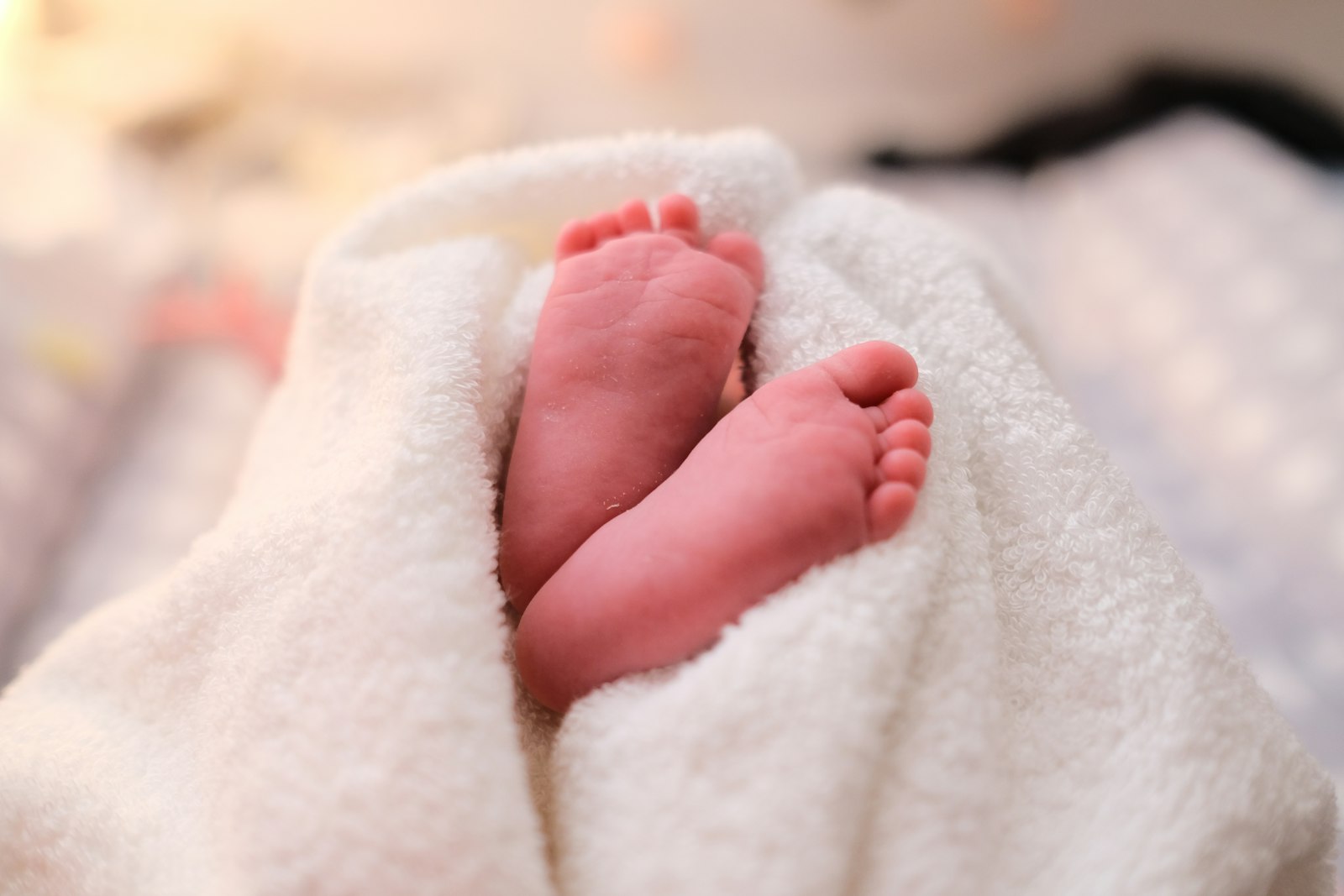 Baby Food Makers: A Buyerâ€™s Guide
