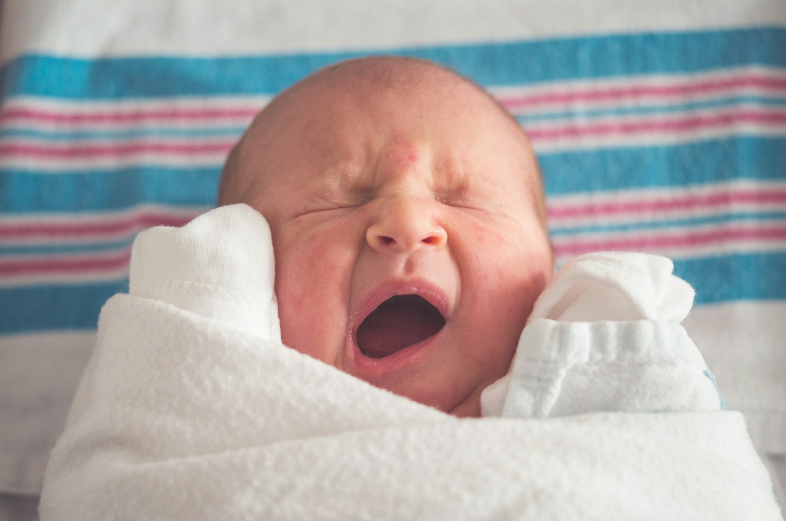 Potty Training Gear: A Buyerâ€™s Guide