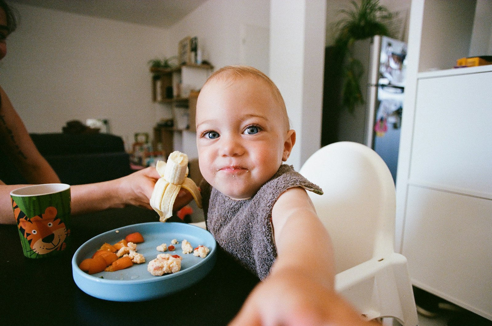 Teething Relief: A Buyerâ€™s Guide